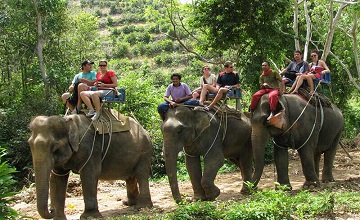 Taj Mahal Tour With Corbett Elephant Safari