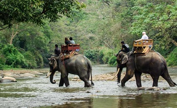 Wildlife Tour Sanctuary Of Kerala