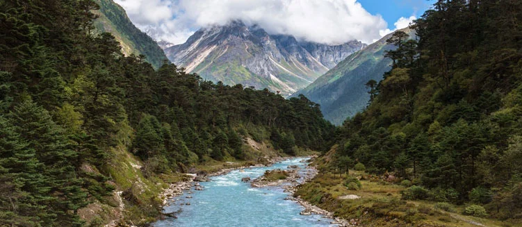 Assam Tour Package - 3 Nights / 4 Days