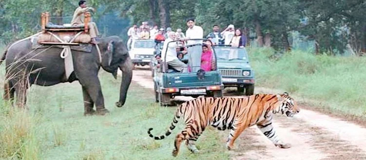 Taj Mahal Tour with Corbett Elephant Safari - 6 Days / 5 Nights