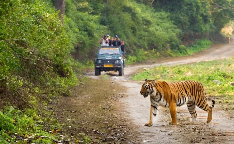 Taj Mahal Tour with Jim Corbett National Park - 6 Days / 5 Nights