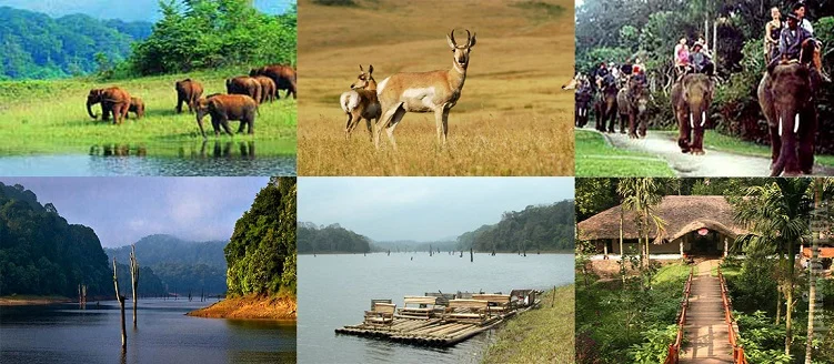 Taj Mahal Tour with Periyar National Park - 5 Days / 4 Nights
